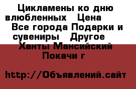 Цикламены ко дню влюбленных › Цена ­ 180 - Все города Подарки и сувениры » Другое   . Ханты-Мансийский,Покачи г.